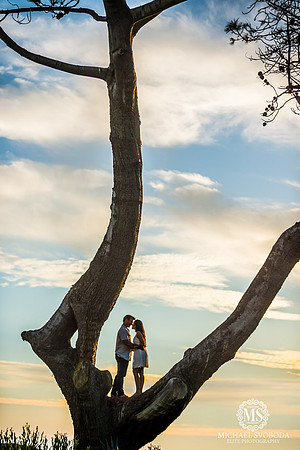silhouette, "sunset
